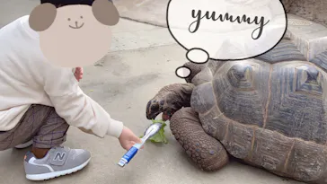 神戸どうぶつ王国に投稿された画像（2021/12/2）