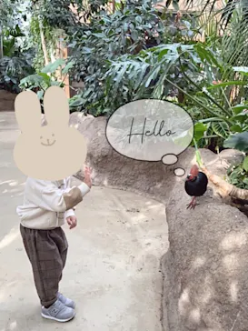 神戸どうぶつ王国に投稿された画像（2021/12/2）