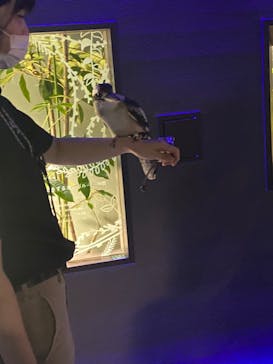 カワスイ 川崎⽔族館に投稿された画像（2021/12/2）