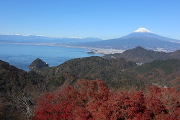 伊豆パノラマパークに投稿された画像（2021/12/2）