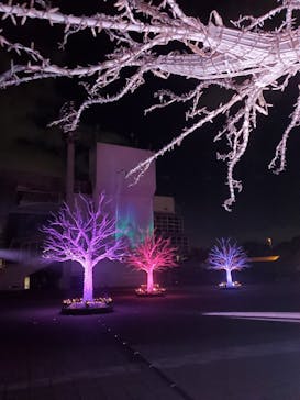 東京メガイルミに投稿された画像（2021/12/2）