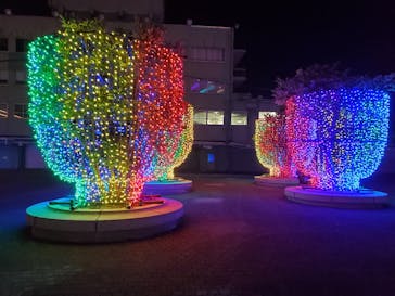 東京メガイルミに投稿された画像（2021/12/2）