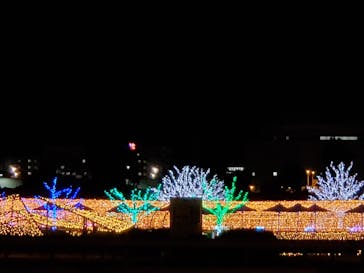 東京メガイルミに投稿された画像（2021/12/2）