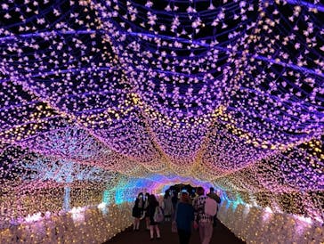 東京メガイルミに投稿された画像（2021/12/2）