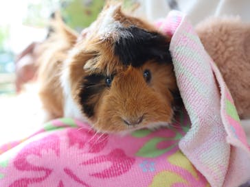 ネオパークオキナワに投稿された画像（2021/12/2）