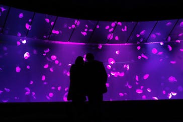 サンシャイン水族館に投稿された画像（2021/12/2）