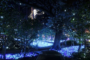 江の島シーキャンドルに投稿された画像（2021/12/2）