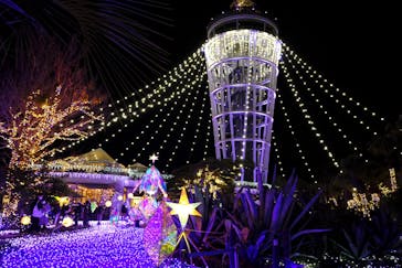 江の島シーキャンドルに投稿された画像（2021/12/2）