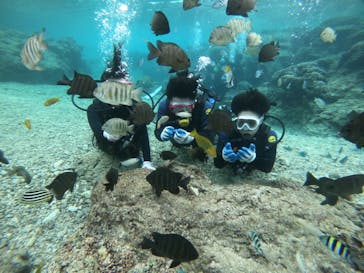 武藤潜水に投稿された画像（2021/12/3）