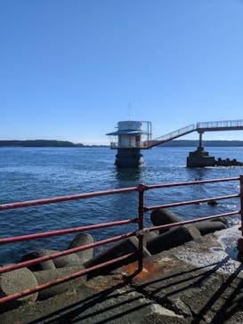 串本海中公園水族館に投稿された画像（2021/12/3）
