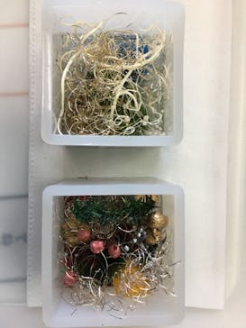 ずこうしつ〜sugamo〜に投稿された画像（2021/12/3）