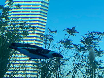 サンシャイン水族館に投稿された画像（2021/12/3）