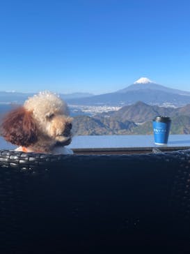 伊豆パノラマパークに投稿された画像（2021/12/3）