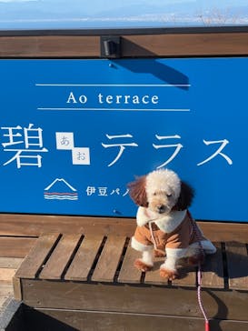 伊豆パノラマパークに投稿された画像（2021/12/3）