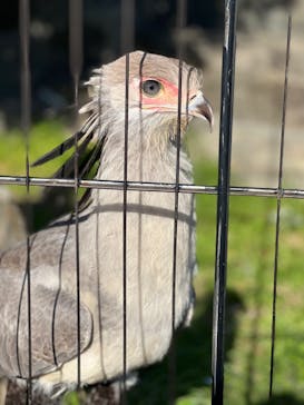 東武動物公園に投稿された画像（2021/12/3）