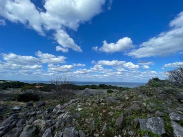 今帰仁城跡に投稿された画像（2021/12/3）