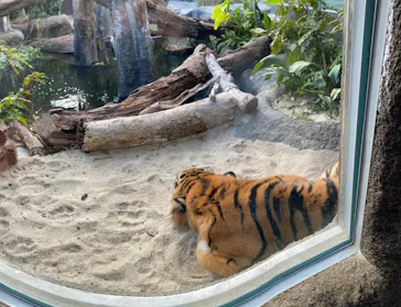 神戸どうぶつ王国に投稿された画像（2021/12/3）