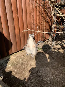 神戸どうぶつ王国に投稿された画像（2021/12/3）