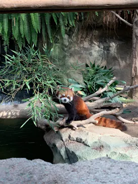 神戸どうぶつ王国に投稿された画像（2021/12/3）