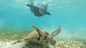 ちゃこたびに投稿された画像（2021/12/3）