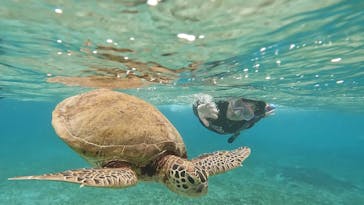 ちゃこたびに投稿された画像（2021/12/3）