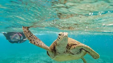 ちゃこたびに投稿された画像（2021/12/3）