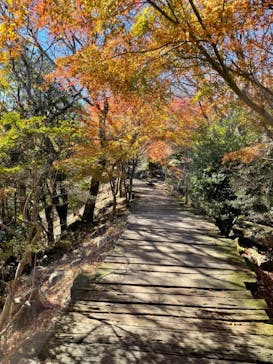 伊豆パノラマパークに投稿された画像（2021/12/3）