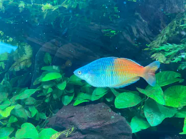 すみだ水族館に投稿された画像（2021/12/3）