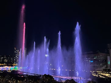 東京メガイルミに投稿された画像（2021/12/3）