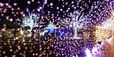 東京メガイルミに投稿された画像（2021/12/3）