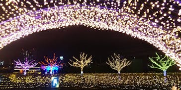 東京メガイルミに投稿された画像（2021/12/3）