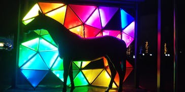 東京メガイルミに投稿された画像（2021/12/3）