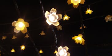 東京メガイルミに投稿された画像（2021/12/3）