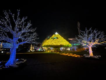 東京メガイルミに投稿された画像（2021/12/3）