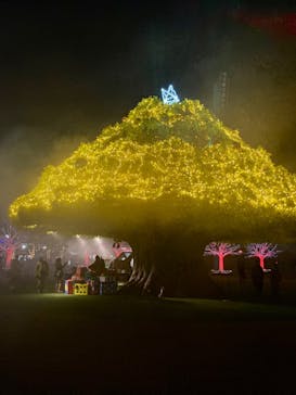 東京メガイルミに投稿された画像（2021/12/3）