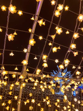 東京メガイルミに投稿された画像（2021/12/3）