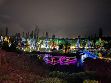 美らヤシパークオキナワ・東南植物楽園に投稿された画像（2021/12/3）