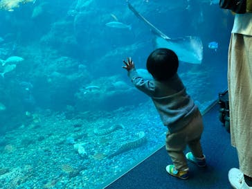 新江ノ島水族館に投稿された画像（2021/12/3）