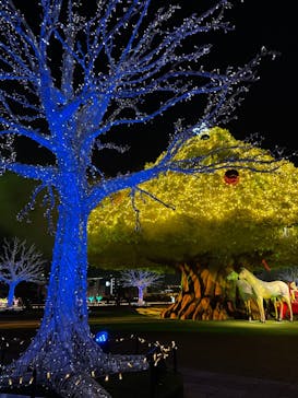 東京メガイルミに投稿された画像（2021/12/3）