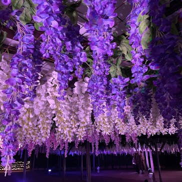 東京メガイルミに投稿された画像（2021/12/3）