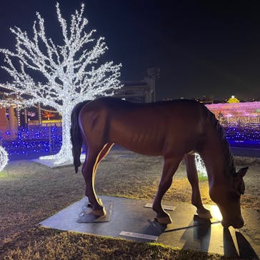 東京メガイルミに投稿された画像（2021/12/3）