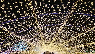 東京メガイルミに投稿された画像（2021/12/3）