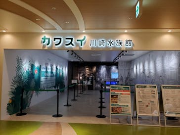 カワスイ 川崎⽔族館に投稿された画像（2021/12/3）