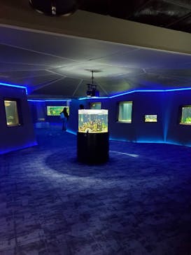 カワスイ 川崎⽔族館に投稿された画像（2021/12/3）