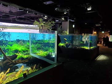 カワスイ 川崎⽔族館に投稿された画像（2021/12/3）
