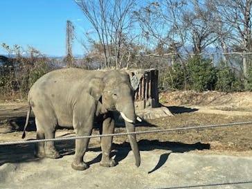 群馬サファリパークに投稿された画像（2021/12/3）