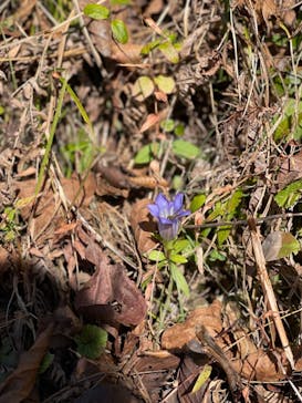 アソビュー株式会社 150954に投稿された画像（2021/11/27）