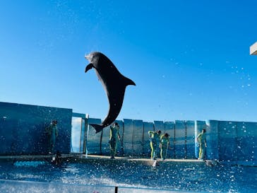 新江ノ島水族館に投稿された画像（2021/12/4）