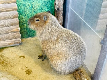 新江ノ島水族館に投稿された画像（2021/12/4）