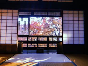 江戸東京たてもの園に投稿された画像（2021/12/4）